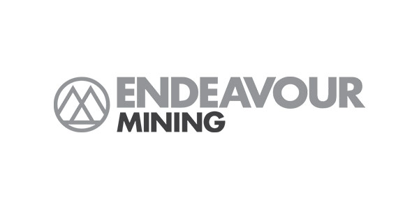 Endeavour partner logo
