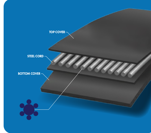 Steel cord conveyor belt construction diagram